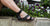 4 Fashion Must-Haves for a Chic Summer Look