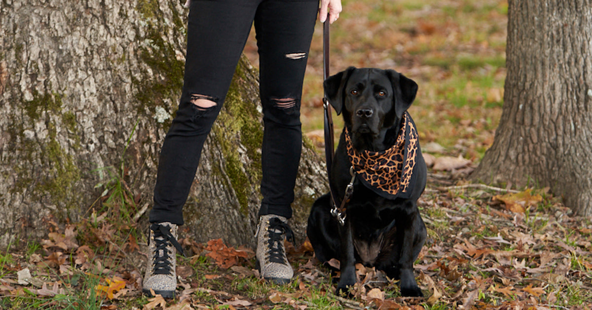 How to Easily Add Leopard Print Into Your Wardrobe