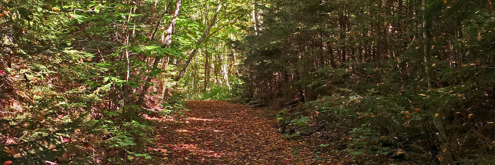 Hiking Lake Placid with OTBT's Outdoor Explorer