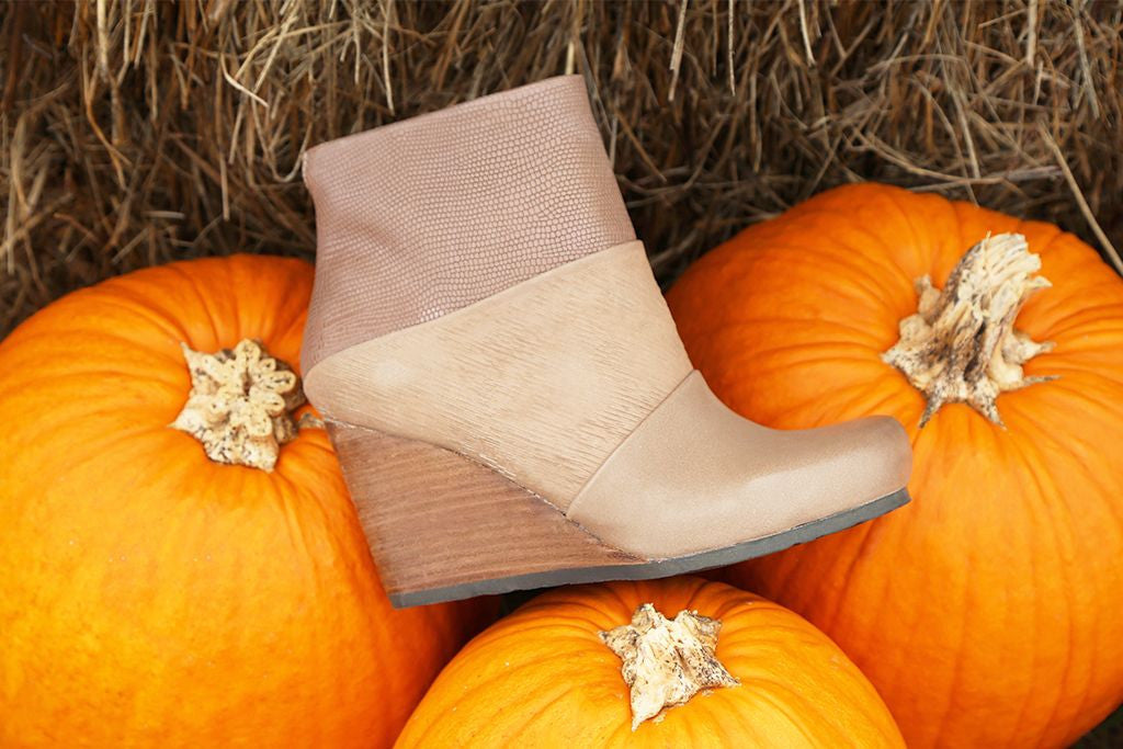 Pumpkin Patch Photo Shoot