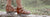 Under $99 Sandals