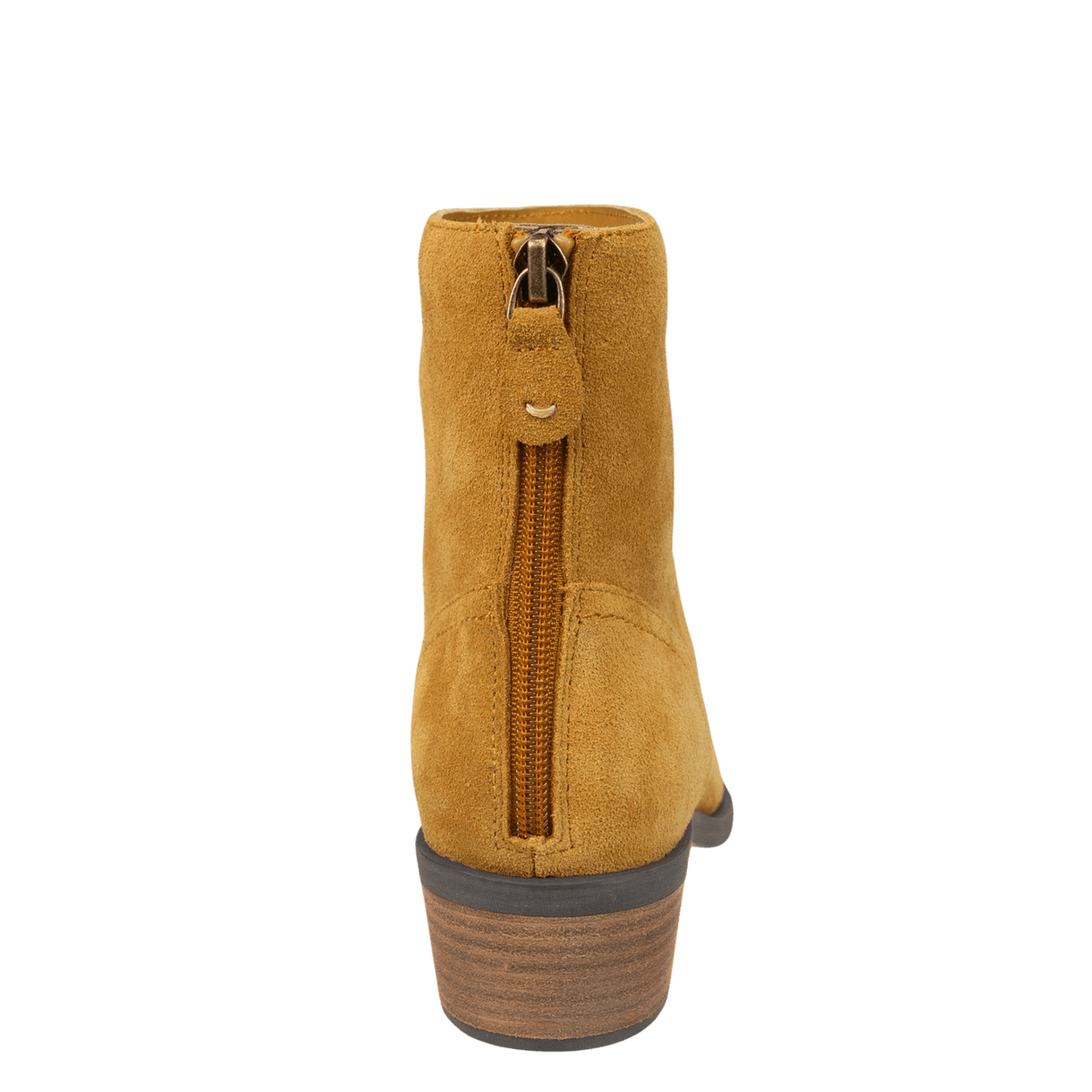 HOMESTEAD in CAMEL, back view