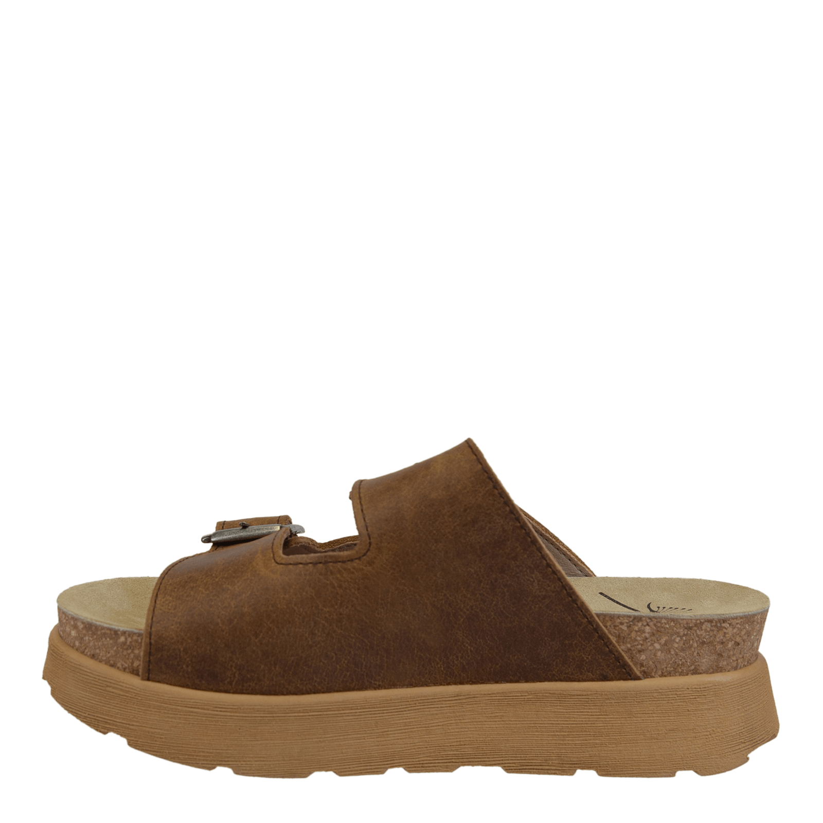 MODULINK in BROWN