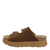 MODULINK in BROWN