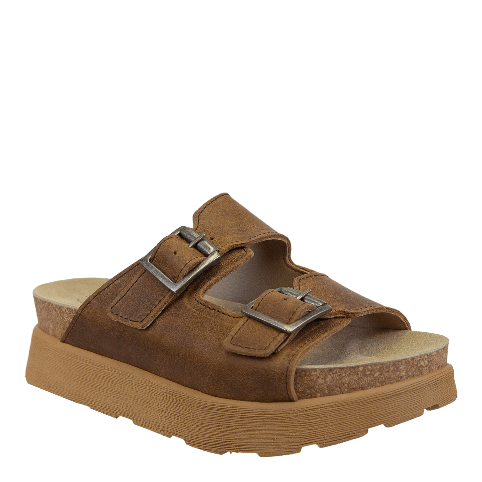 MODULINK in BROWN
