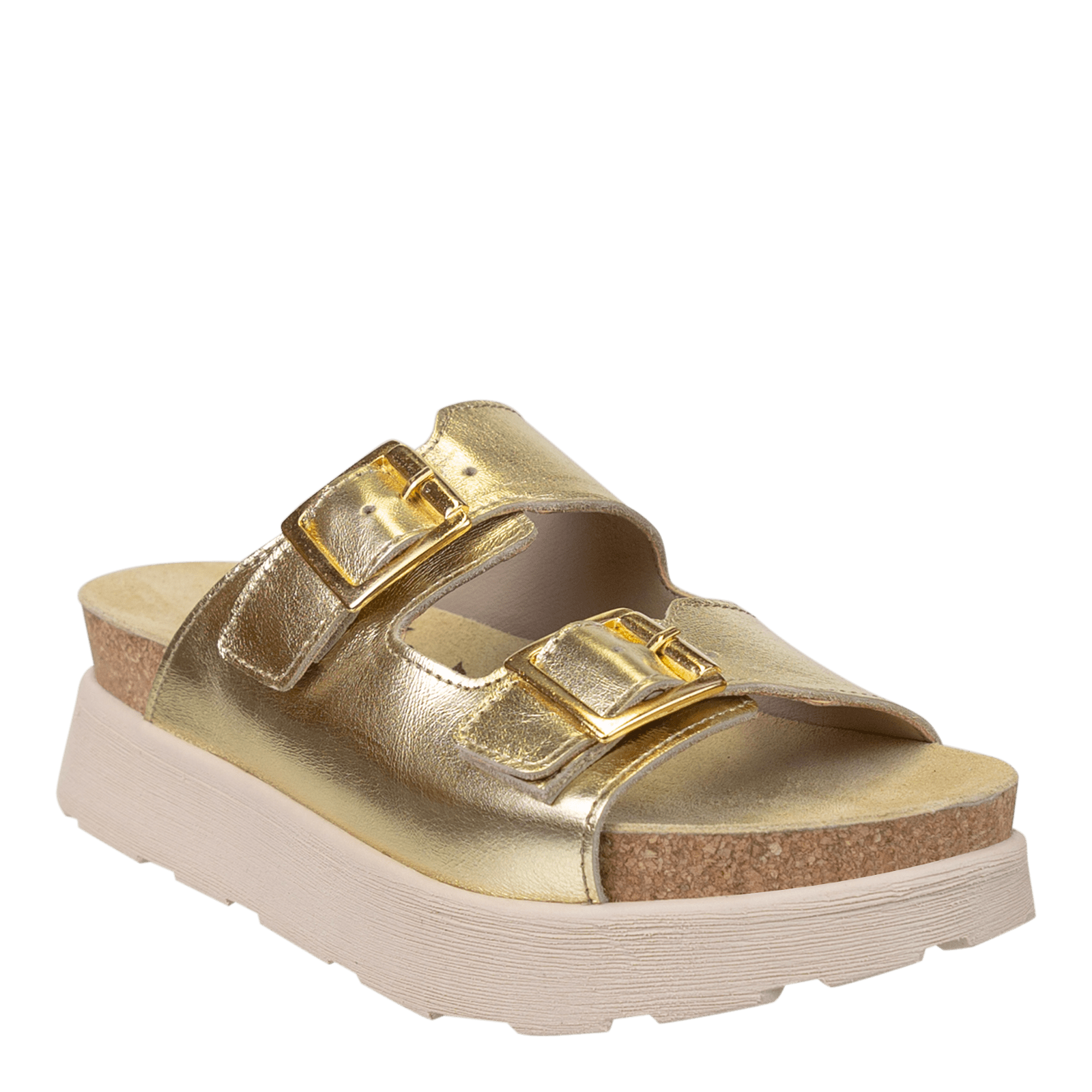 MODULINK in GOLD