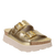 MODULINK in GOLD