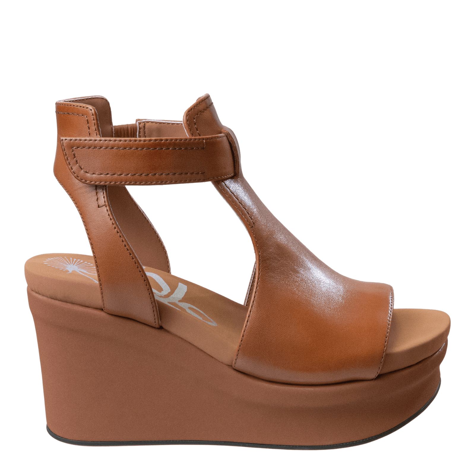 Camel 2025 colored wedges