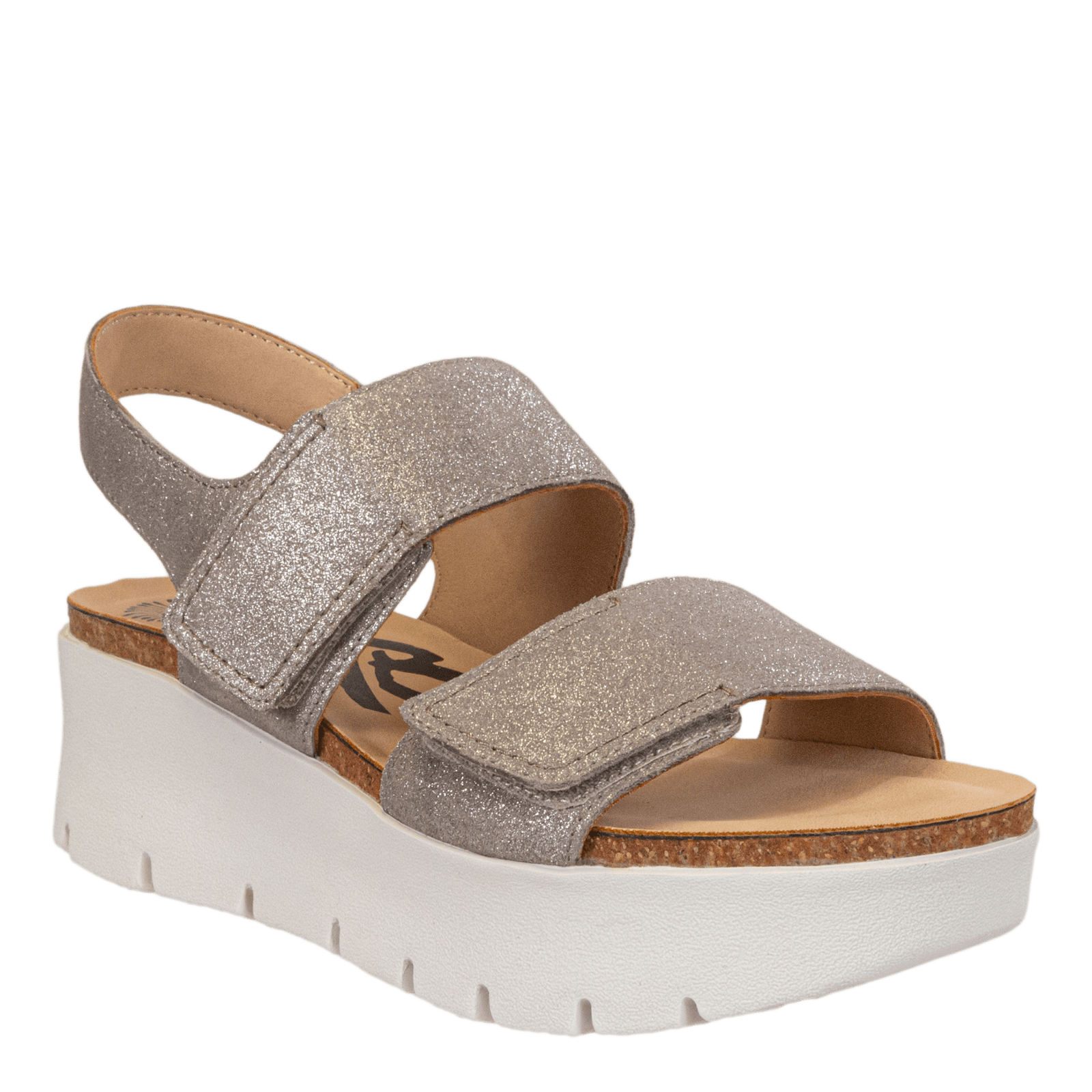 MONTANE in SILVER Platform Sandals